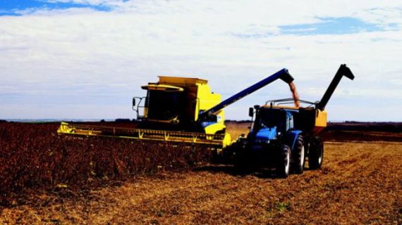 El campo por siete El campo por siete