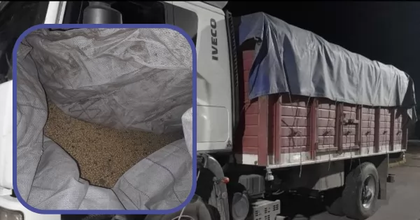 San Lorenzo: Secuestraron dos camiones repletos de cereal robado de los vagones de un tren