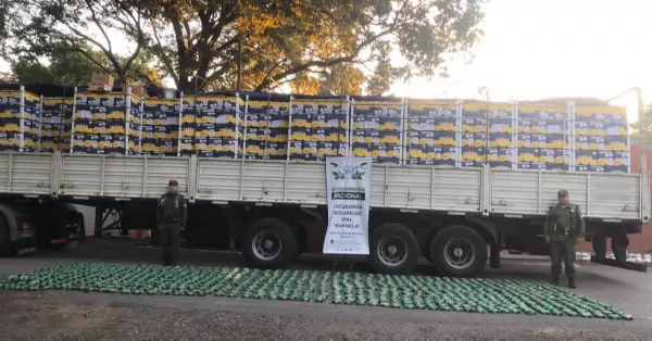 Detuvieron un camión con 200 kilos de hojas de coca escondida entre limones