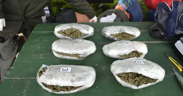 Encontraron paquetes de marihuana en la bodega de un colectivo