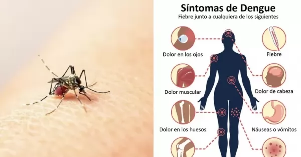Quiroga: “crecen los casos de dengue y no hay política sanitaria para frenar este brote”
