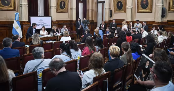 Alcohol Cero al volante: obtuvo dictamen favorable y está listo para ser tratado en el Senado