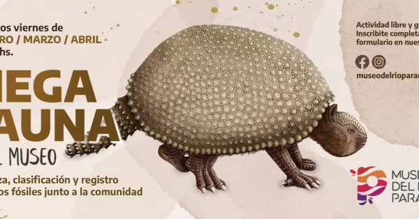 Taller gratuito de limpieza de fósiles en el Museo del Río en Puerto San Martín