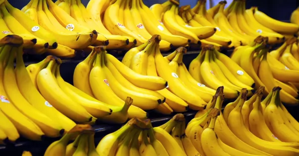 Llegó el “dólar banana” con el que el gobierno busca reducir el precio de esta fruta