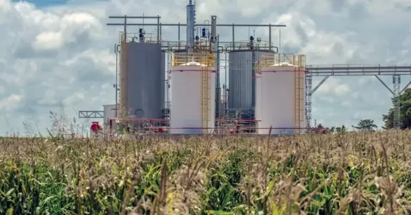 Autorizan aumento de casi el 5 por ciento para el bioetanol de caña de azúcar y maíz