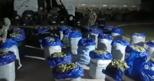Encontraron 680 kilos de hojas de coca en un camión cargado de soja con destino a San Lorenzo 