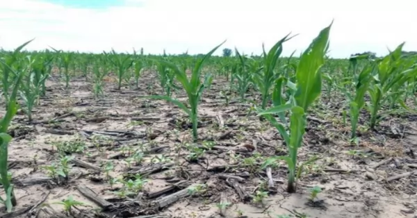 Sequía en Santa Fe: piden prorrogar la emergencia hasta el 30 de septiembre