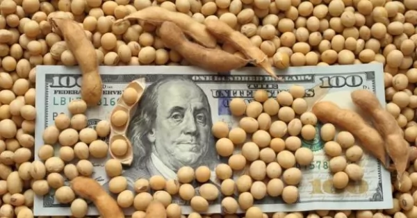 Dólar soja: productores vendieron casi 400.000 toneladas y acumulan 2,71 millones en 8 jornadas