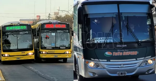 Desde el miércoles, Tata Rápido y Rosario Bus se harán cargo de los servicios que deja Serodino