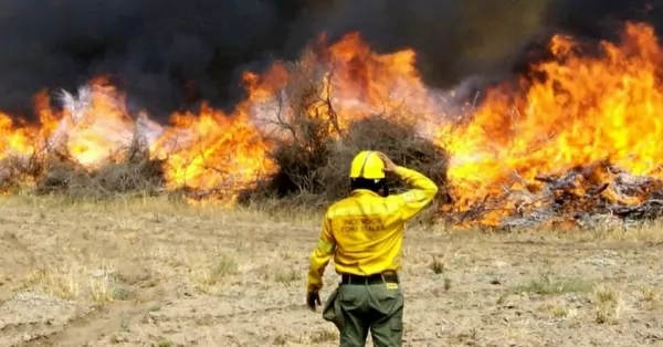 Sin focos en Santa Fe, se mantienen activos incendios forestales en otras 5 provincias 