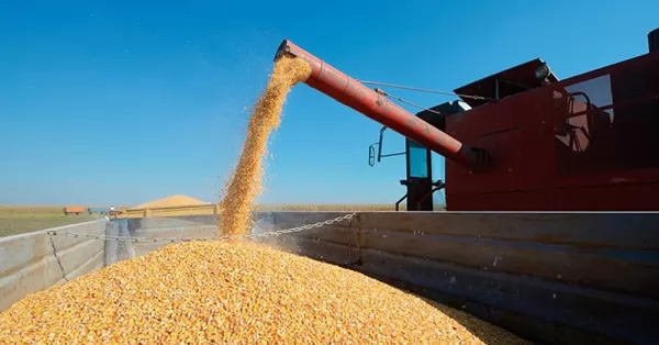 La AFIP incautó más de 1500 toneladas de granos en Córdoba
