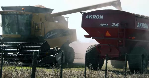 La liquidación de divisas del agro cayó un 74 por ciento en febrero