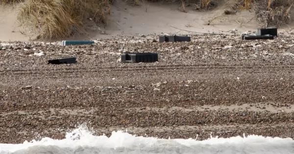 Península Valdés: detectan playas contaminadas con residuos de la industria pesquera