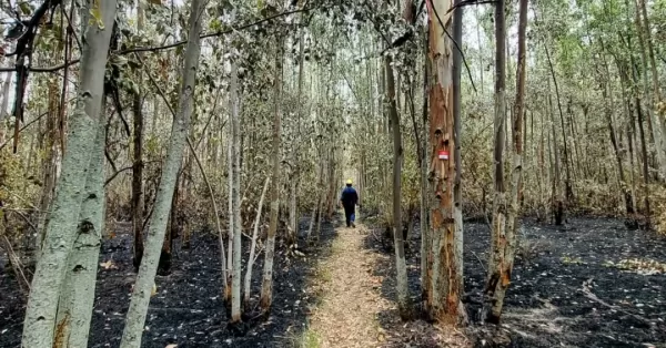 Preocupación por los reiterados incendios en la Reserva Hídrica Natural 