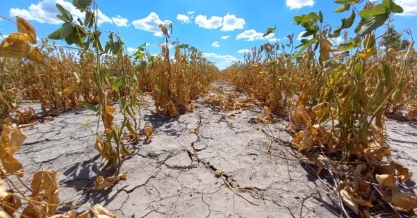 El gobierno prorrogó la emergencia agropecuaria por sequía en todo el territorio provincial