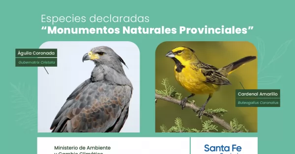 Santa Fe: declararon monumento natural provincial al cardenal amarillo y al águila coronada