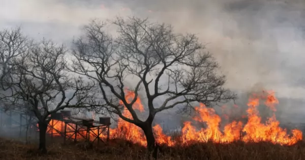 Controlaron el incendio en las islas del Paraná frente a Pueblo Esther