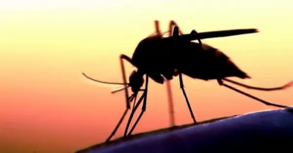 Santa Fe: la provincia tiene 32 localidades con circulación viral de dengue