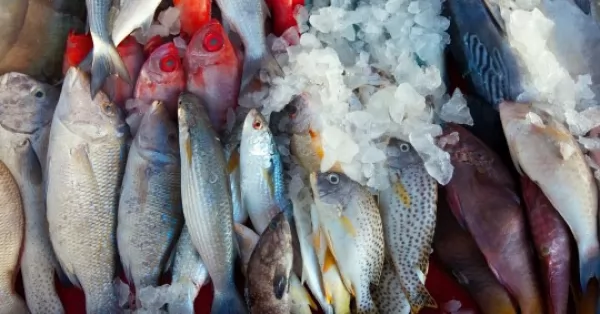 Semana Santa: recomendaciones para comprar y consumir pescado
