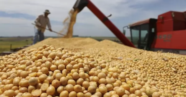 Dólar soja: productores ya vendieron más de 4 millones de toneladas 