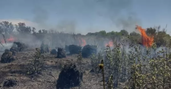 Devastador incendio consumió 9 hectáreas en un campo de Timbúes