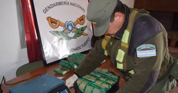 Secuestraron más de 58 kilos de hojas de coca en un transporte de encomiendas en Venado Tuerto