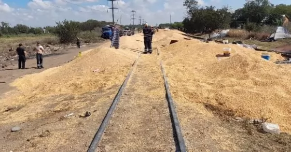 Cuatro detenidos por intentar robarse toneladas de cereal derramadas por un tren en San Lorenzo