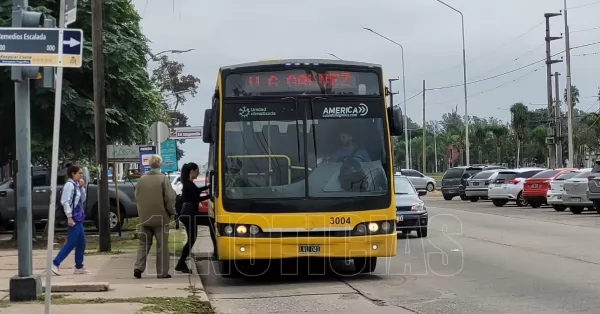 No funciona la web para realizar reclamos por el servicio de transporte interurbano 