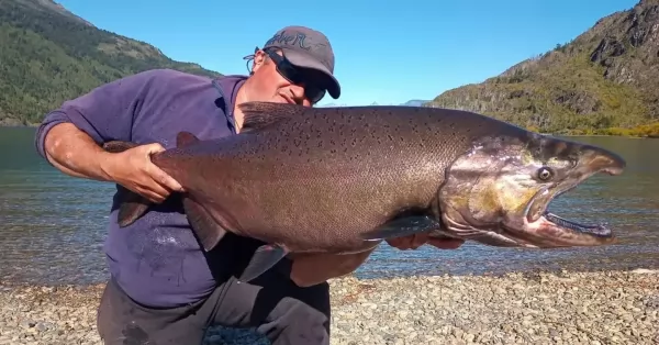 Un hombre pescó un salmón de 16 kilos en Lago Puelo 