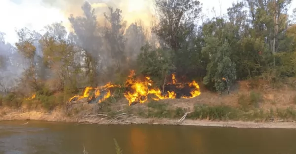 Avanzan con sanciones por incendios en la Isla de los Mástiles y en las costas del Río Carcarañá