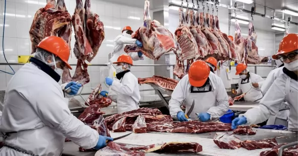 El Gobierno Nacional restringió la exportación de varios cortes de carne 