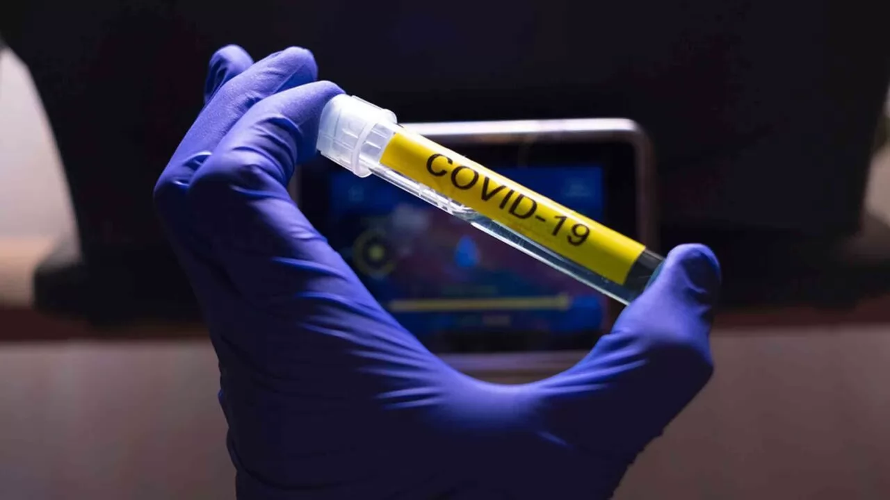 Coronavirus: descienden los casos en Argentina