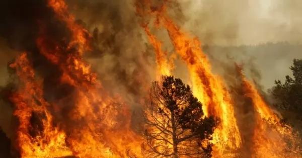 Cinco provincias continúan con incendios forestales