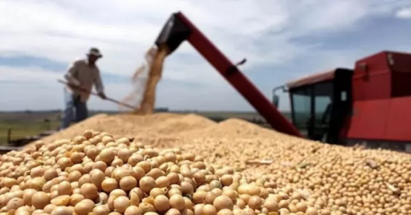 La AFIP incautó 180 toneladas de soja valuadas en 17 millones de pesos
