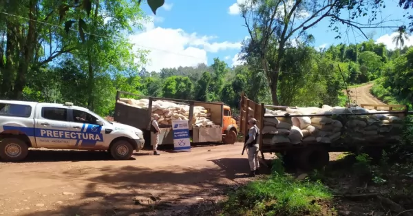 Secuestraron más de 15mil kilos de soja en Misiones